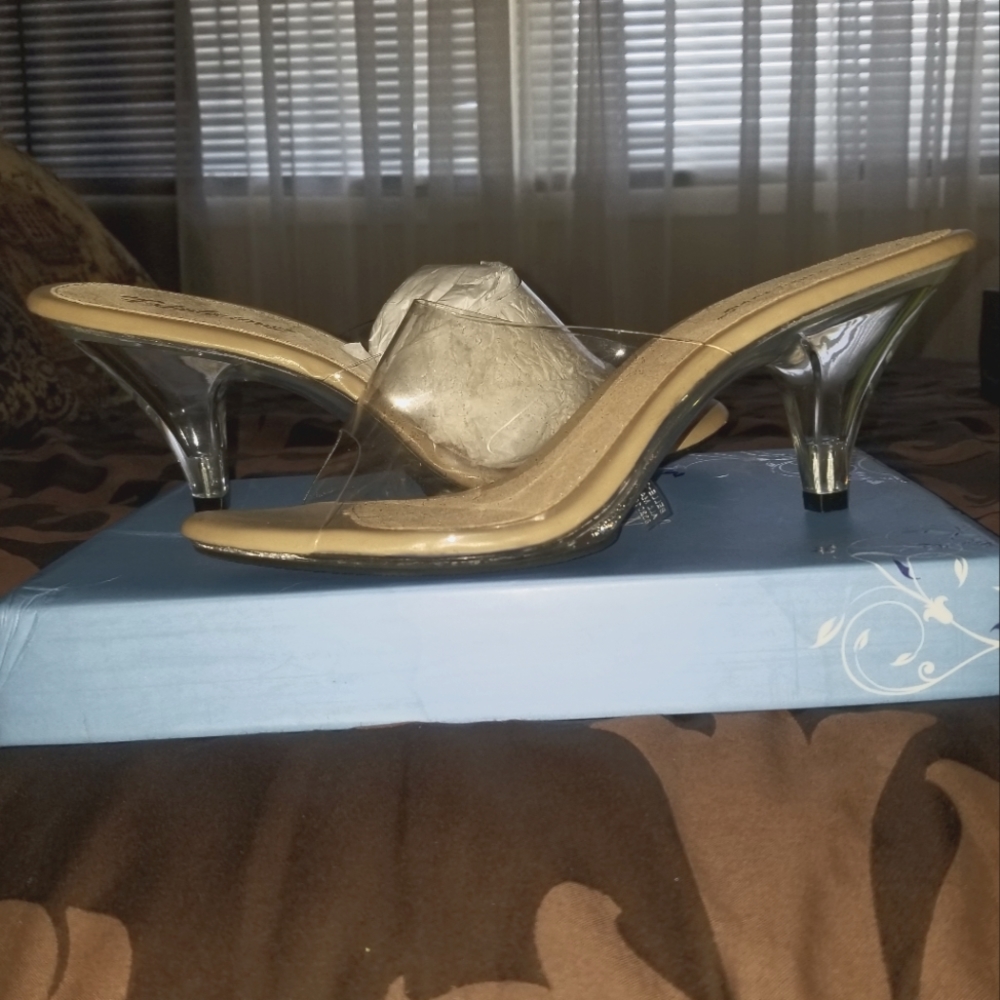 Acrylic Mule Sandal
